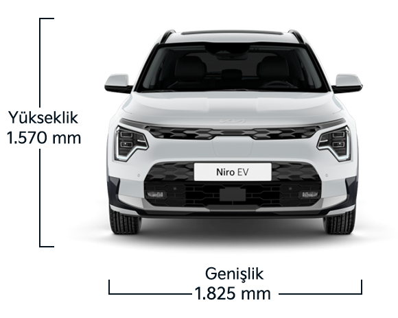 Kia_Niro_EV__580x464_On_r1