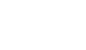 ADAS (DRIVE WiSE)