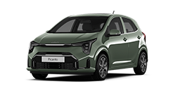 msg_vehicle_yeni-picanto